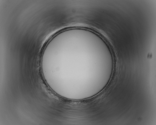 X0000111511364200907281305