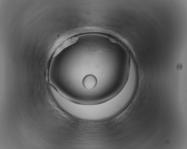 X0000111511365200907281305