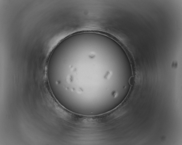 X0000111511366200907281305