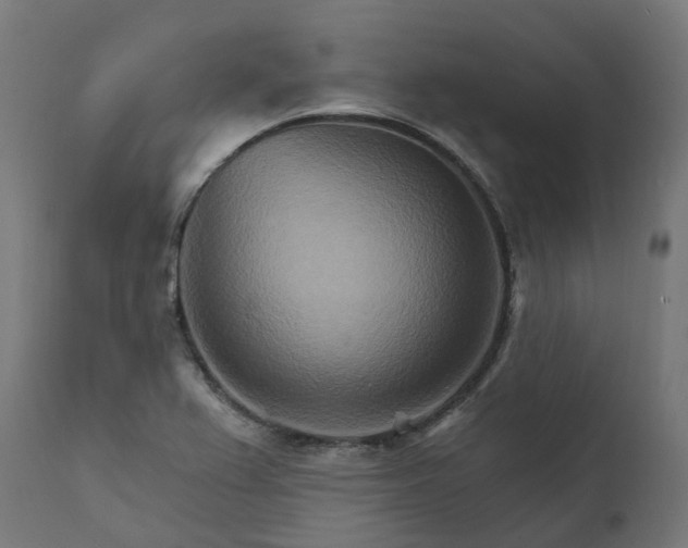 X0000111511367200907281305