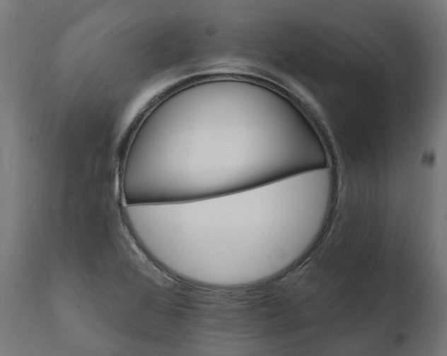 X0000111511368200907281305