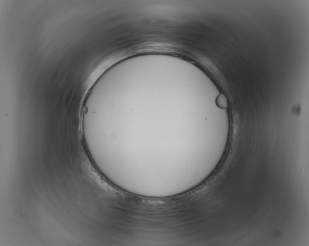 X0000111511370200907281305