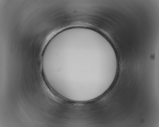 X0000111511371200907281305