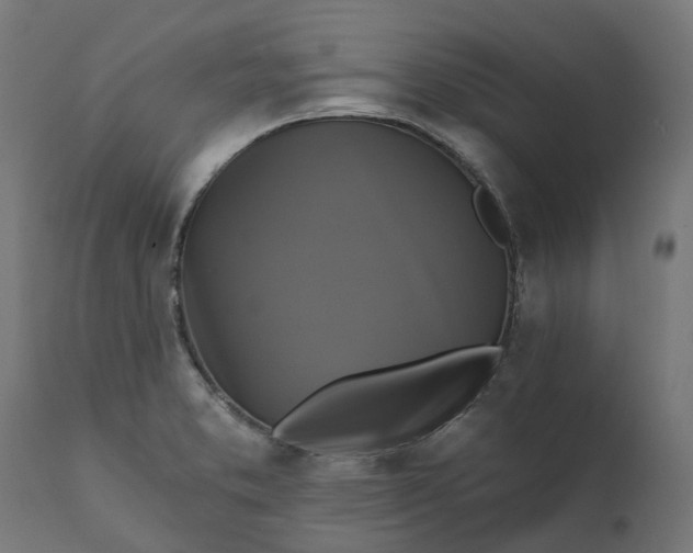 X0000111511373200907281305