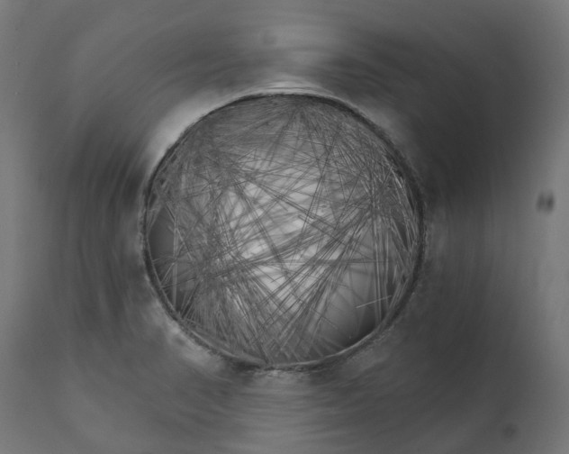 X0000111511374200907281305