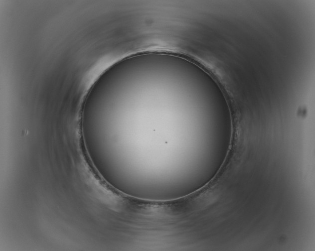 X0000111511375200907281305