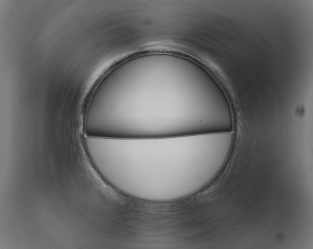 X0000111511376200907281305