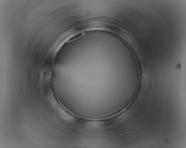 X0000111511377200907281305