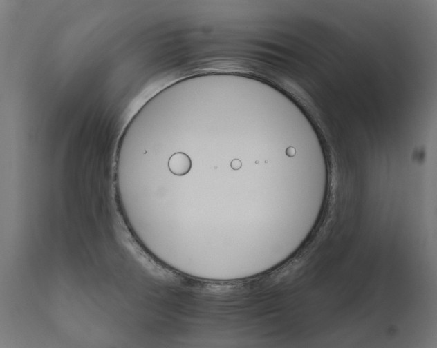 X0000111511378200907281304