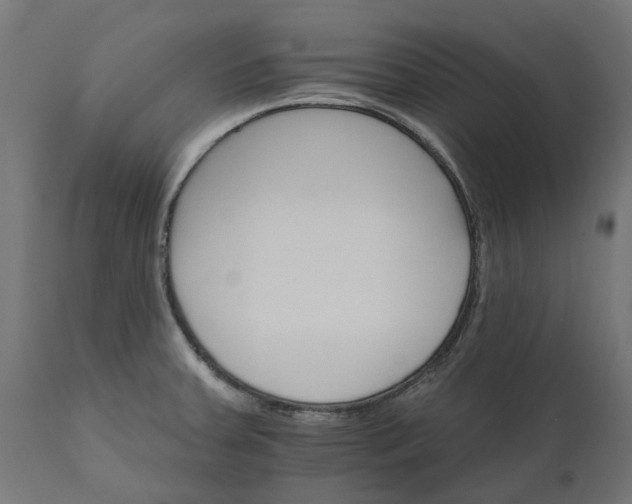 X0000111511379200907281304