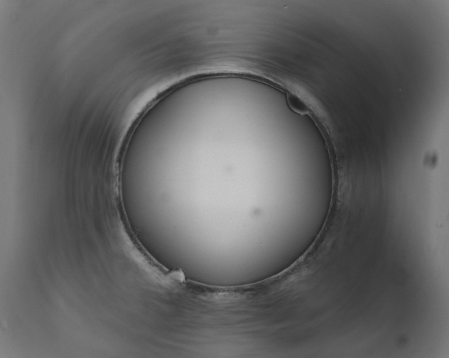 X0000111511380200907281304