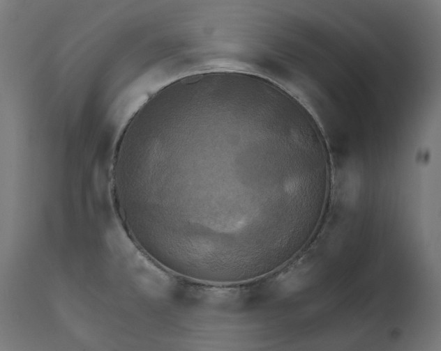 X0000111511381200907281304