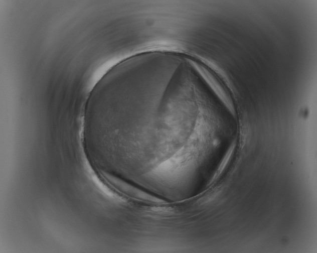 X0000111511383200907281304