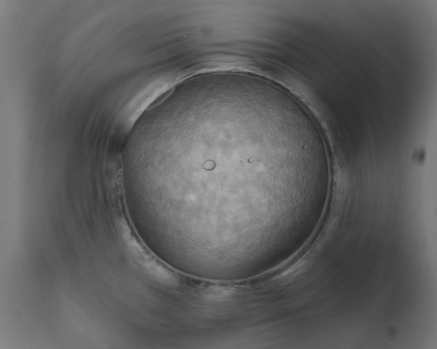 X0000111511385200907281304