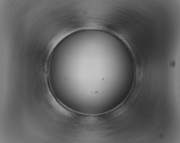 X0000111511387200907281304