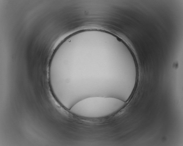X0000111511388200907281304