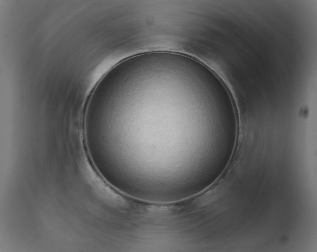 X0000111511389200907281304