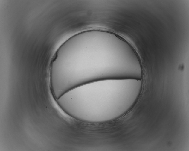 X0000111511391200907281304