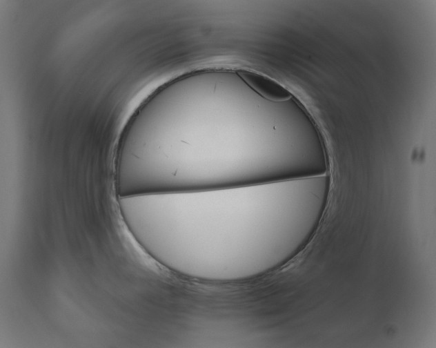 X0000111511392200907281304