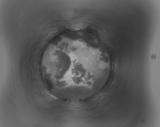X0000111511393200907281304