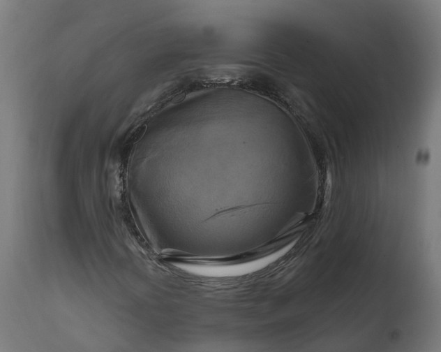 X0000111511394200907281304