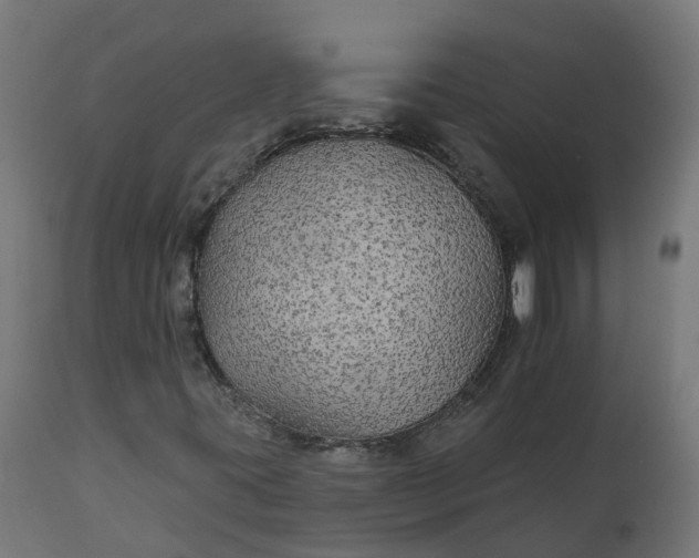 X0000111511395200907281304