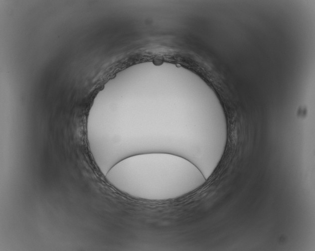 X0000111511397200907281304