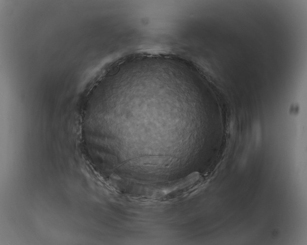 X0000111511398200907281304
