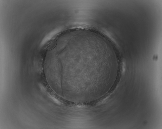 X0000111511399200907281304