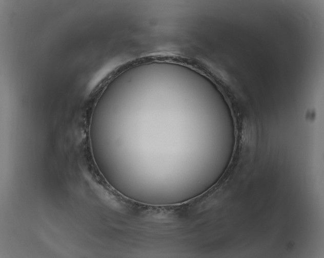 X0000111511400200907281304