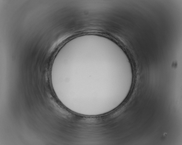 X0000111511402200907281304