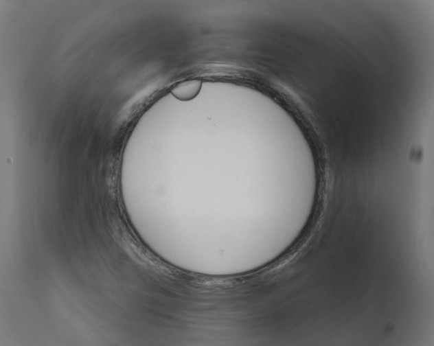 X0000111511403200907281304