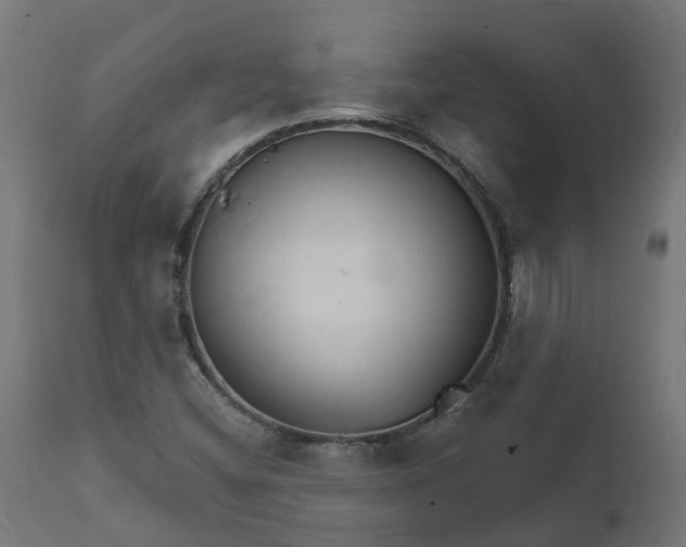 X0000111511404200907281304