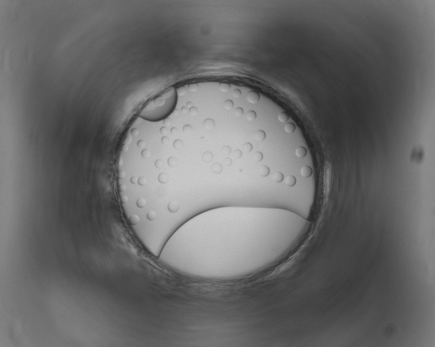 X0000111511405200907281304