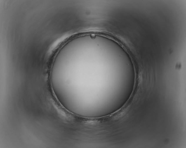 X0000111511406200907281304
