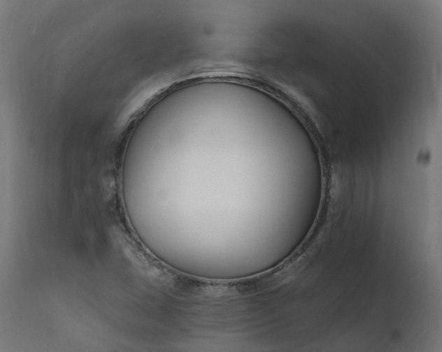 X0000111511407200907281304