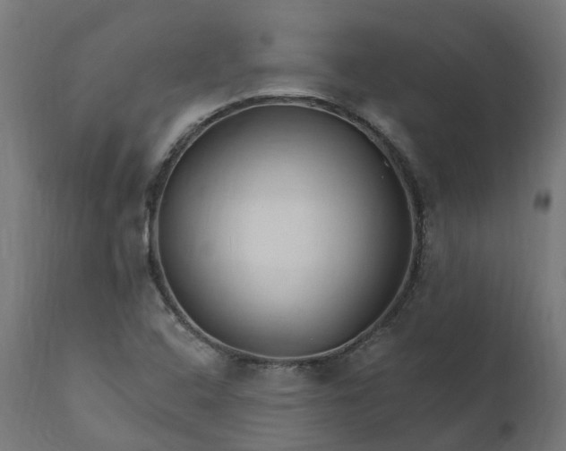 X0000111511408200907281304