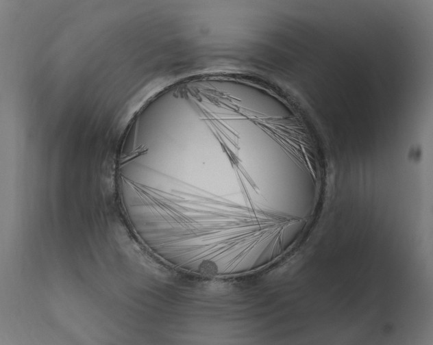X0000111511409200907281304