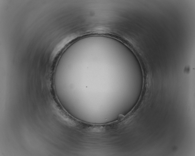 X0000111511410200907281304
