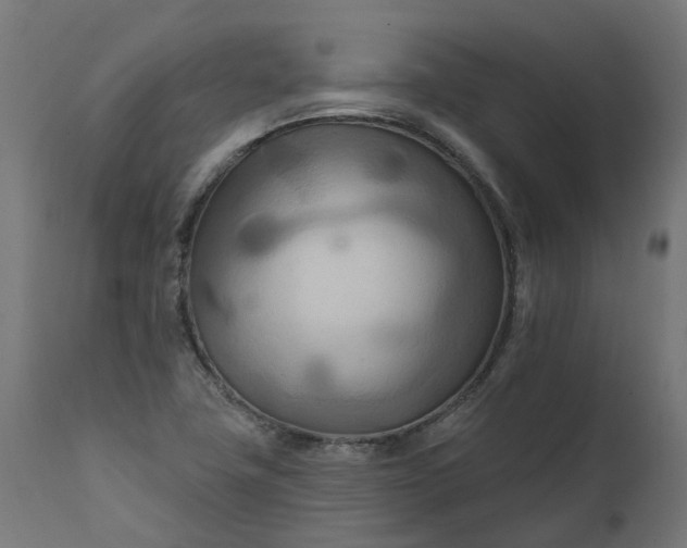 X0000111511411200907281304