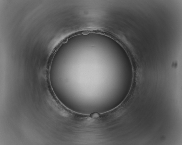 X0000111511412200907281304