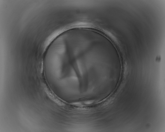 X0000111511413200907281304