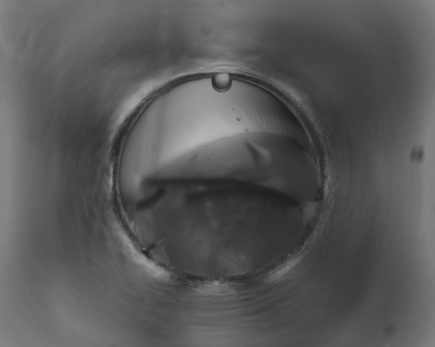 X0000111511414200907281304