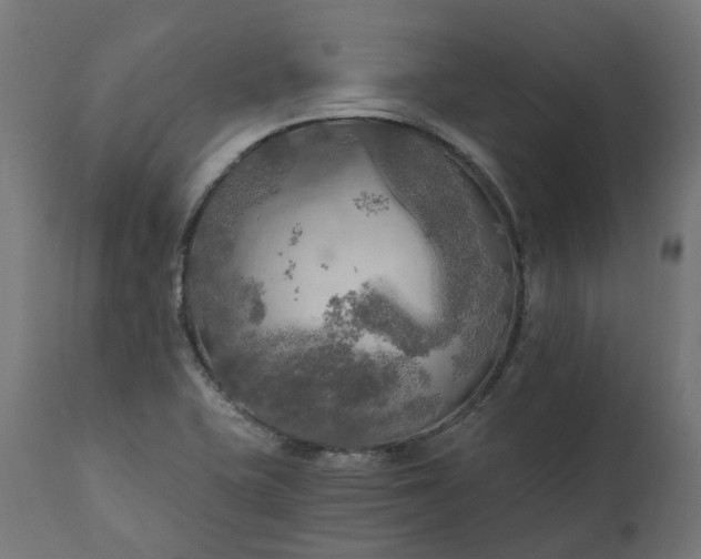 X0000111511415200907281304