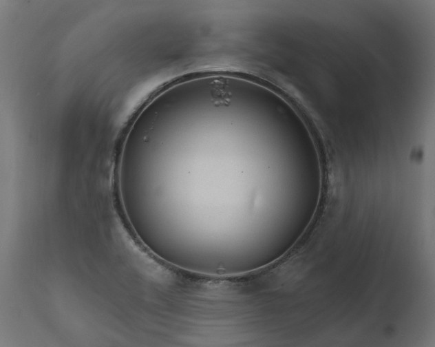 X0000111511416200907281304