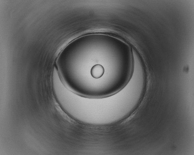 X0000111511417200907281304