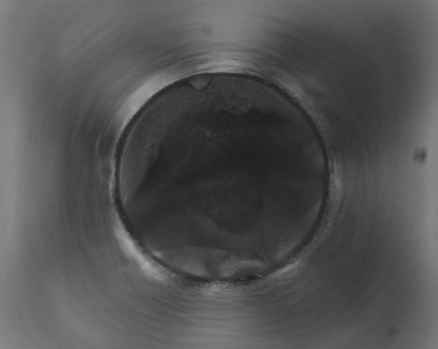 X0000111511418200907281304