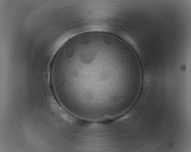 X0000111511419200907281304