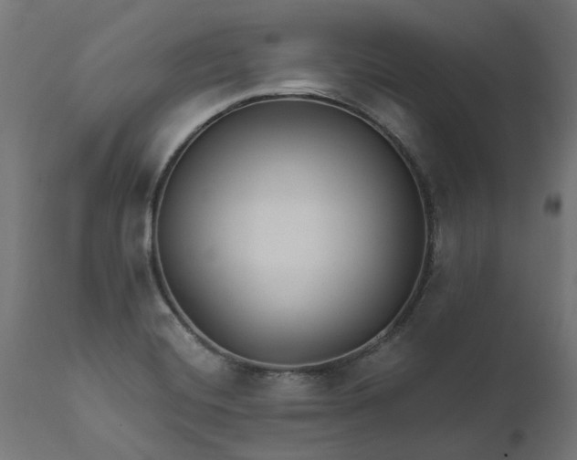 X0000111511420200907281304