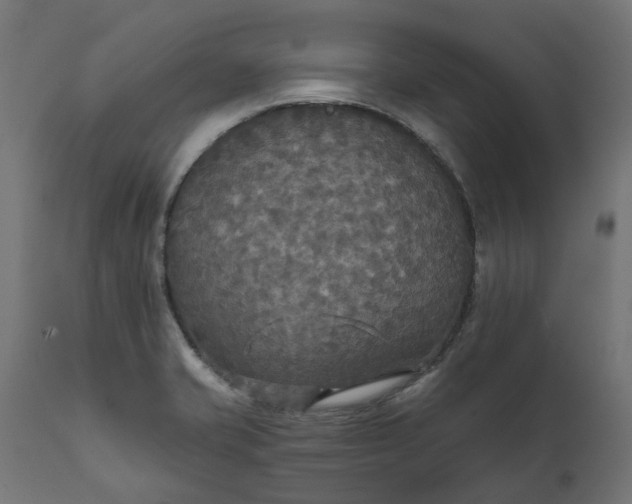 X0000111511421200907281304